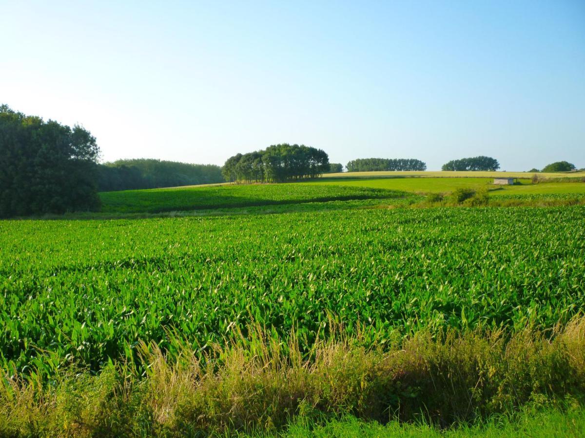 Het Verblijf Sint-Martens-Lennik Экстерьер фото